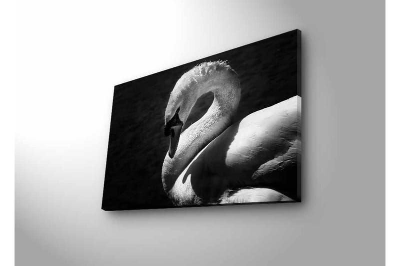 Lærredsbillede med LED-belysning - Sort og hvid svane i elegant positur - Sort / Hvid - Boligtilbehør - Billeder & kunst - Billeder på lærred