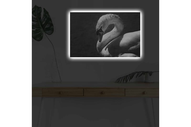 Lærredsbillede med LED-belysning - Sort og hvid svane i elegant positur - Sort / Hvid - Boligtilbehør - Billeder & kunst - Billeder på lærred