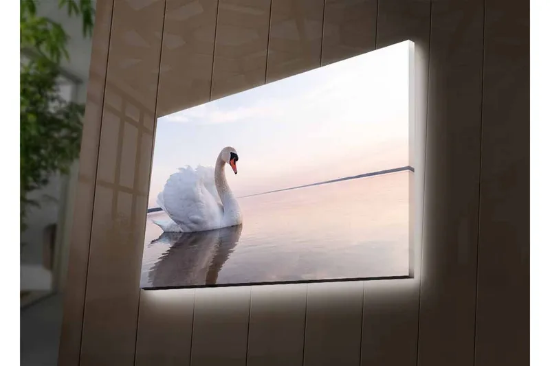 Lærredsbillede med LED-belysning - Sort svane svømmer i stille vand - Hvid / Grå / Lyseblå - Boligtilbehør - Billeder & kunst - Billeder på lærred