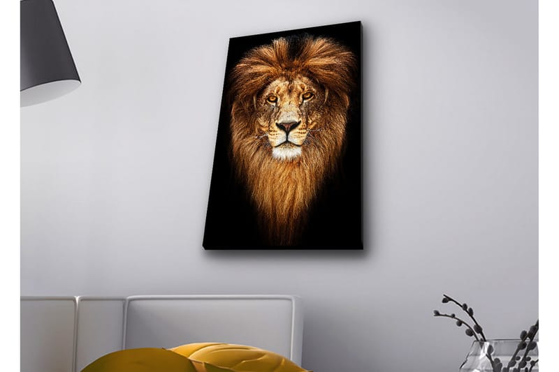 Lærredsbillede med LED-belysning - Statsligt løvehoved med majestætisk manke - Guld / Sort / Brun - Boligtilbehør - Billeder & kunst - Billeder på lærred