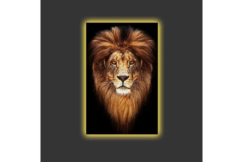Lærredsbillede med LED-belysning - Statsligt løvehoved med majestætisk manke - Guld / Sort / Brun - Boligtilbehør - Billeder & kunst - Billeder på lærred