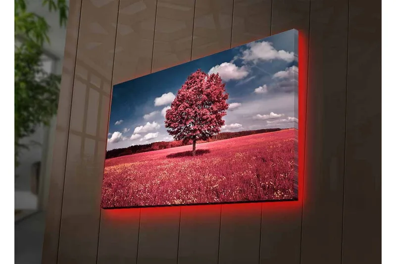 Lærredsbillede med LED-belysning - Statsligt lyserødt træ på en farverig eng - Lyserød / Grøn / Blå - Boligtilbehør - Billeder & kunst - Billeder på lærred