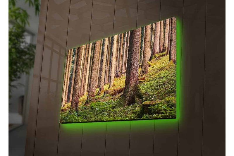 Lærredsbillede med LED-belysning - Stille skov med høje træer og frodigt grønt - Grøn / Brun / Beige - Boligtilbehør - Billeder & kunst - Billeder på lærred