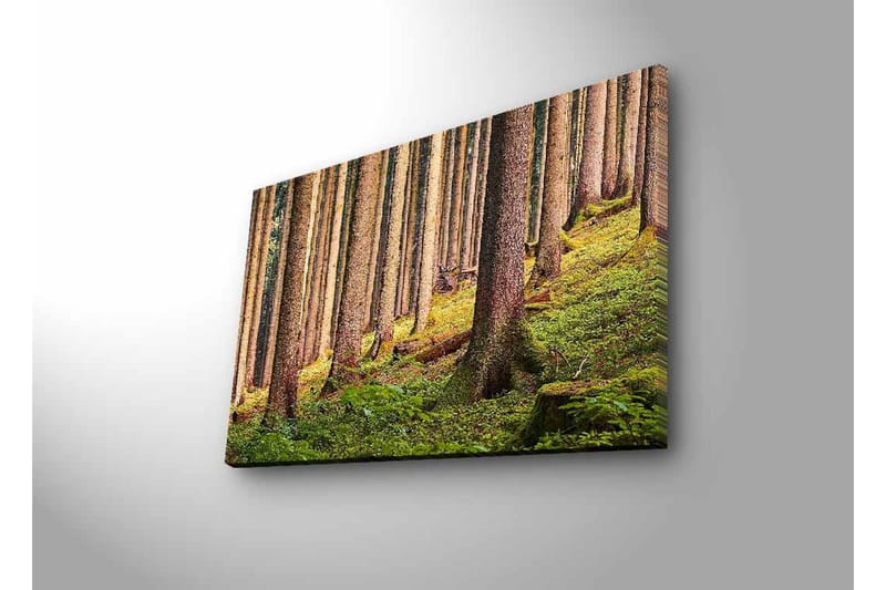 Lærredsbillede med LED-belysning - Stille skov med høje træer og frodigt grønt - Grøn / Brun / Beige - Boligtilbehør - Billeder & kunst - Billeder på lærred