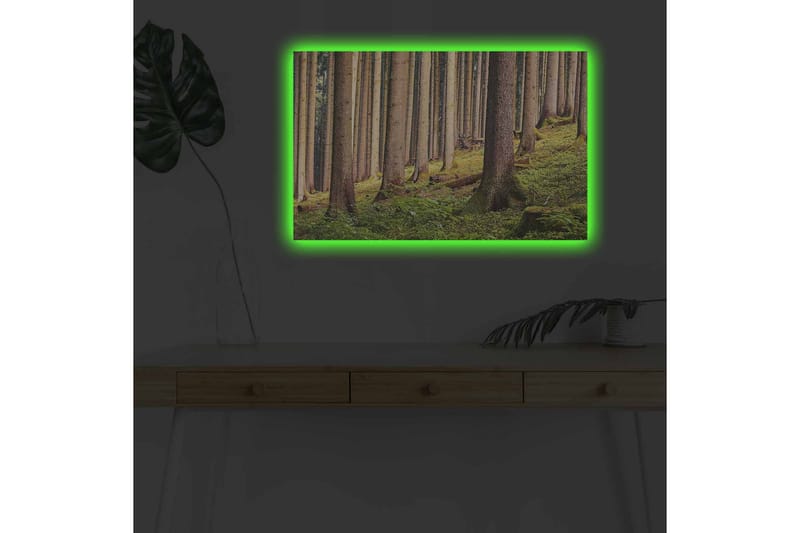 Lærredsbillede med LED-belysning - Stille skov med høje træer og frodigt grønt - Grøn / Brun / Beige - Boligtilbehør - Billeder & kunst - Billeder på lærred