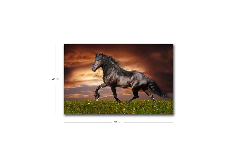 Lærredsbillede med LED-belysning - Stolt sort hest galoperer over en grøn eng - Sort / Grøn / Orange - Boligtilbehør - Billeder & kunst - Billeder på lærred