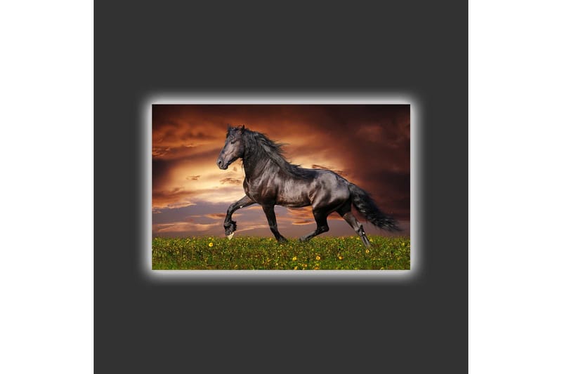 Lærredsbillede med LED-belysning - Stolt sort hest galoperer over en grøn eng - Sort / Grøn / Orange - Boligtilbehør - Billeder & kunst - Billeder på lærred