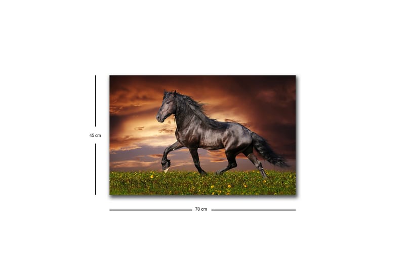 Lærredsbillede med LED-belysning - Stolt sort hest galoperer over en grøn eng - Sort / Grøn / Orange - Boligtilbehør - Billeder & kunst - Billeder på lærred