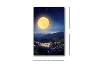 Lærredsbillede med LED-belysning - Storslået måne over et fjernt bjerglandskab med blomster i forgrunden - Mørkeblå / Gul / Lilla - Boligtilbehør - Billeder & kunst - Billeder på lærred