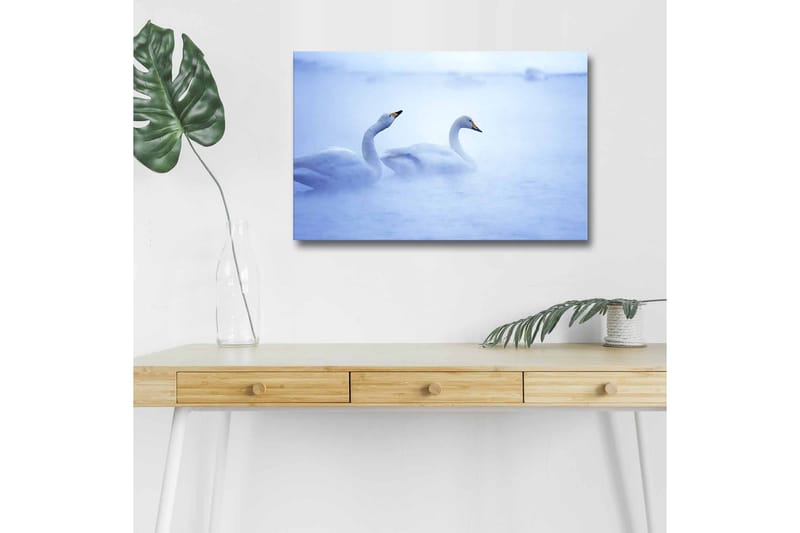 Lærredsbillede med LED-belysning - Svaner der svømmer i et tåget vandmiljø, Lyseblå / Hvid