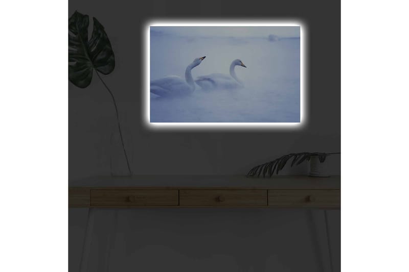 Lærredsbillede med LED-belysning - Svaner der svømmer i et tåget vandmiljø - Lyseblå / Hvid - Boligtilbehør - Billeder & kunst - Billeder på lærred