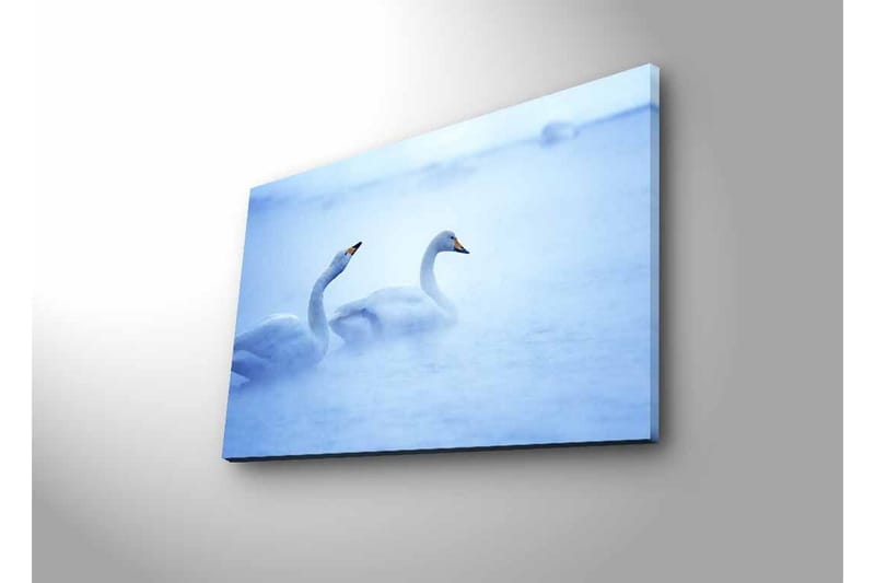 Lærredsbillede med LED-belysning - Svaner der svømmer i et tåget vandmiljø - Lyseblå / Hvid - Boligtilbehør - Billeder & kunst - Billeder på lærred