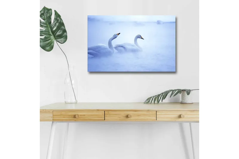 Lærredsbillede med LED-belysning - Svaner der svømmer i et tåget vandmiljø, Lyseblå / Hvid