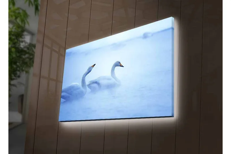 Lærredsbillede med LED-belysning - Svaner der svømmer i et tåget vandmiljø - Lyseblå / Hvid - Boligtilbehør - Billeder & kunst - Billeder på lærred