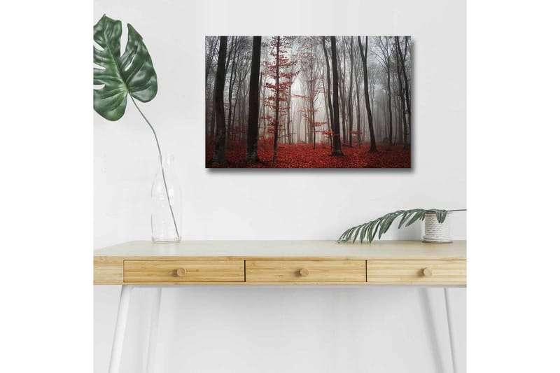 Lærredsbillede med LED-belysning - Tåget skov med røde blade og høje træer, Rød / Grå / Sort