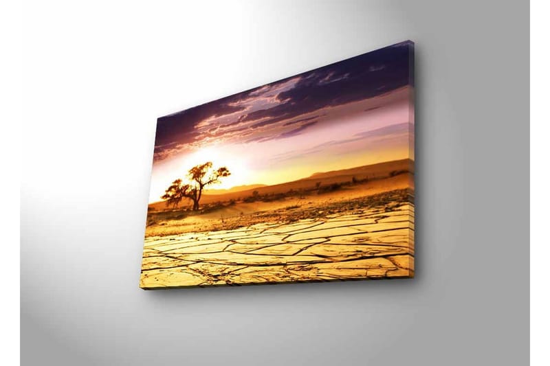 Lærredsbillede med LED-belysning - Tørret landskab med et ensomt akacietræ ved solnedgang - Guld / Lilla / Orange - Boligtilbehør - Billeder & kunst - Billeder på lærred