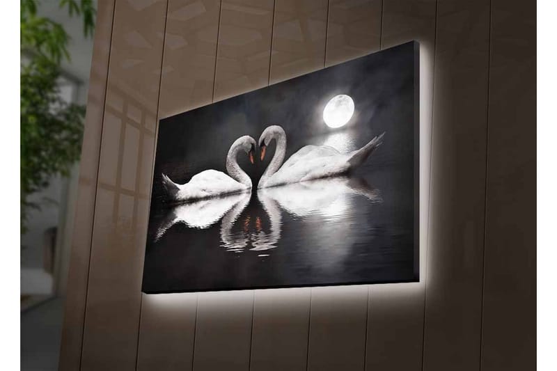 Lærredsbillede med LED-belysning - To svaner danner et hjerte i en spejlblank sø under en måne - Hvid / Sort / Grå - Boligtilbehør - Billeder & kunst - Billeder på lærred