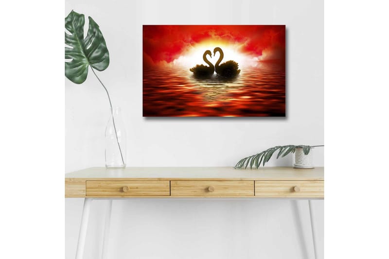 Lærredsbillede med LED-belysning - To svaner danner et hjerte mod en dramatisk solnedgang, Rød / Sort / Orange