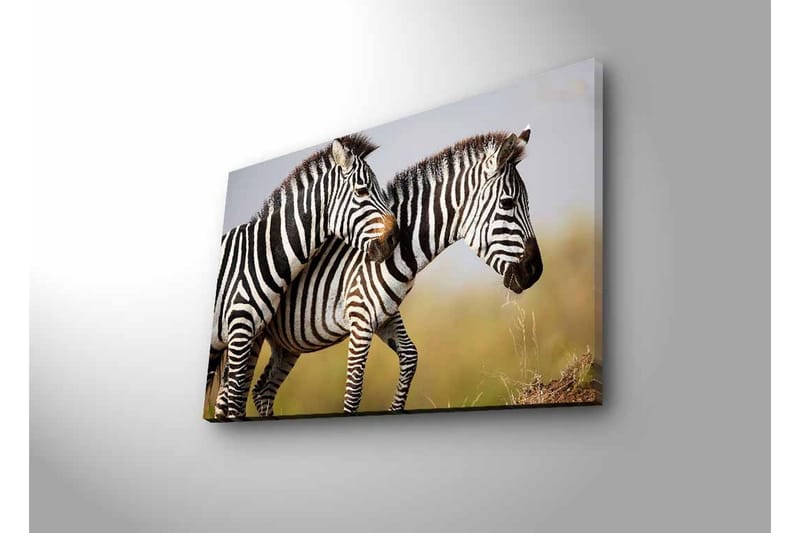 Lærredsbillede med LED-belysning - To zebraer står tæt sammen i et naturligt miljø - Sort / Hvid / Beige - Boligtilbehør - Billeder & kunst - Billeder på lærred