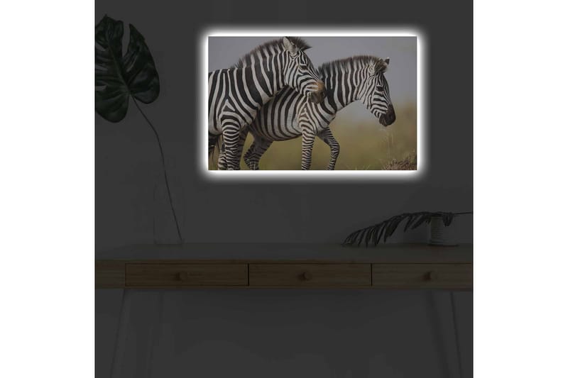 Lærredsbillede med LED-belysning - To zebraer står tæt sammen i et naturligt miljø - Sort / Hvid / Beige - Boligtilbehør - Billeder & kunst - Billeder på lærred