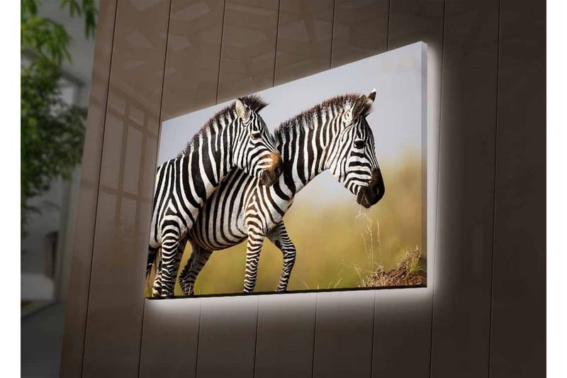 Lærredsbillede med LED-belysning - To zebraer står tæt sammen i et naturligt miljø - Sort / Hvid / Beige - Boligtilbehør - Billeder & kunst - Billeder på lærred