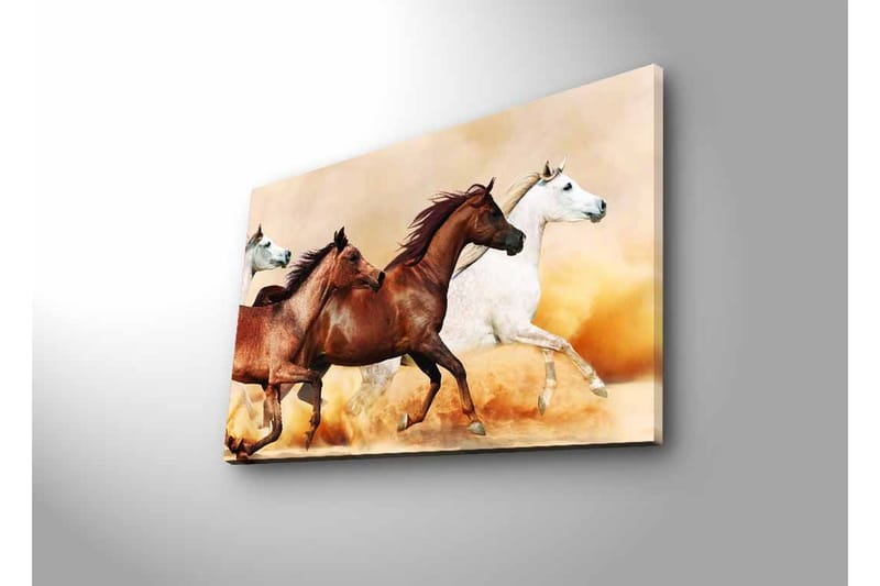 Lærredsbillede med LED-belysning - Tre heste i bevægelse på en sandet overflade - Brun / Hvid / Beige - Boligtilbehør - Billeder & kunst - Billeder på lærred