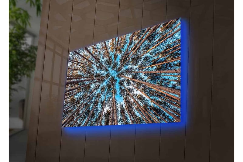 Lærredsbillede med LED-belysning - Udsigt opad gennem trætoppene i en skov - Blå / Brun / Grøn - Boligtilbehør - Billeder & kunst - Billeder på lærred