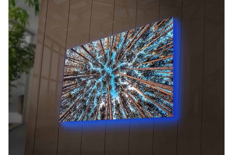 Lærredsbillede med LED-belysning - Udsigt opad gennem trætoppene i en skov - Blå / Brun / Grøn - Boligtilbehør - Billeder & kunst - Billeder på lærred