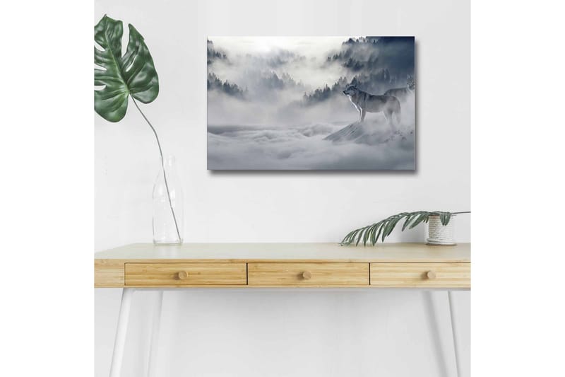 Lærredsbillede med LED-belysning - Ulv i tåget skovmiljø, Grå / Blå / Hvid