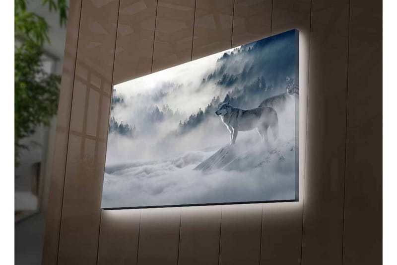 Lærredsbillede med LED-belysning - Ulv i tåget skovmiljø - Grå / Blå / Hvid - Boligtilbehør - Billeder & kunst - Billeder på lærred