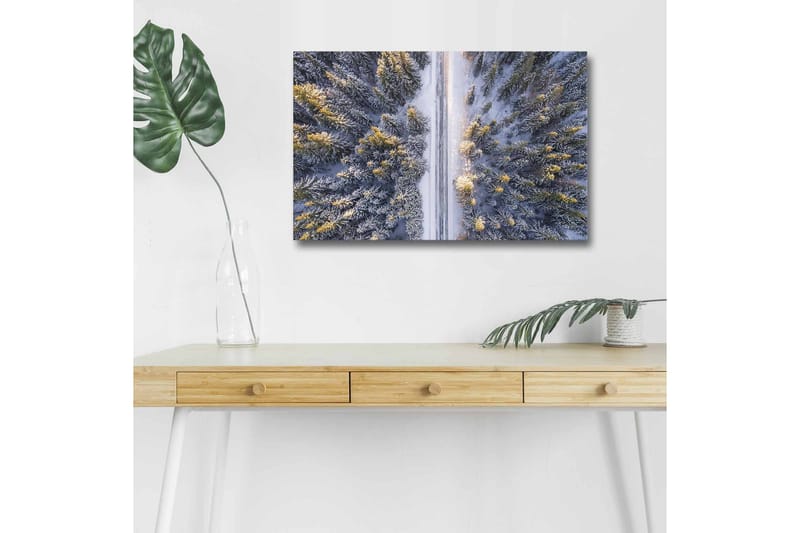 Lærredsbillede med LED-belysning - Vinterlandskab med snedækkede træer og en vej, der strækker sig gennem skoven - Grå / Grøn / Gul - Boligtilbehør - Billeder & kunst - Billeder på lærred