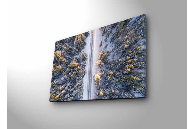 Lærredsbillede med LED-belysning - Vinterlandskab med snedækkede træer og en vej, der strækker sig gennem skoven - Grå / Grøn / Gul - Boligtilbehør - Billeder & kunst - Billeder på lærred