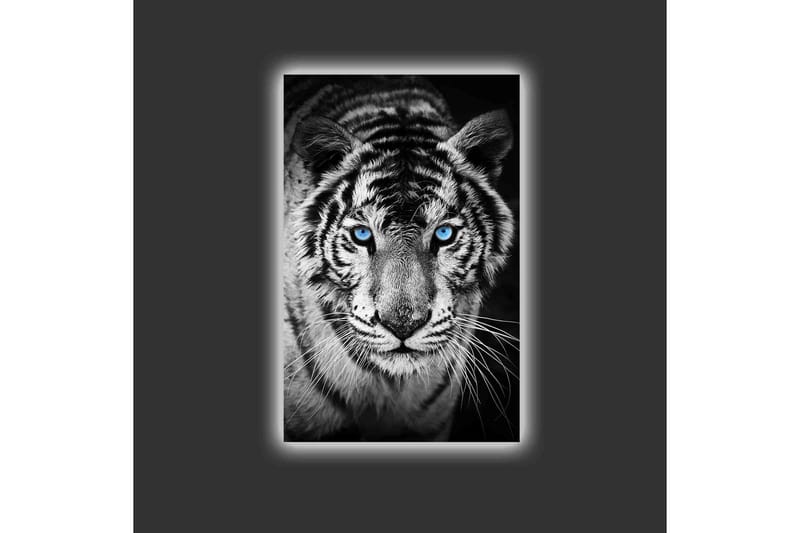 Lærredsbillede med LED-belysning - Portræt af en hvid tiger med blå øjne - Sort / Hvid / Blå - Boligtilbehør - Billeder & kunst - Billeder på lærred