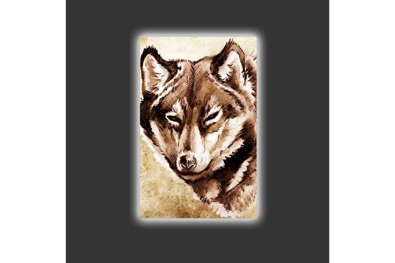 Lærredsbillede med LED-belysning - Portræt af en ulv med et fokuseret blik - Brun / Beige - Boligtilbehør - Billeder & kunst - Billeder på lærred