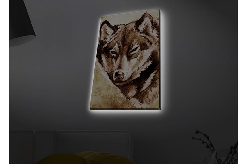 Lærredsbillede med LED-belysning - Portræt af en ulv med et fokuseret blik, Brun / Beige