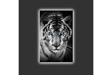 Lærredsbillede med LED-belysning - Portræt af en hvid tiger med blå øjne - Sort / Hvid / Blå - Boligtilbehør - Billeder & kunst - Billeder på lærred