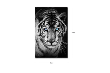 Lærredsbillede med LED-belysning - Portræt af en hvid tiger med blå øjne - Sort / Hvid / Blå - Boligtilbehør - Billeder & kunst - Billeder på lærred