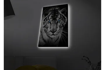 Lærredsbillede med LED-belysning - Portræt af en hvid tiger med blå øjne - Sort / Hvid / Blå - Boligtilbehør - Billeder & kunst - Billeder på lærred