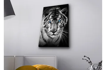 Lærredsbillede med LED-belysning - Portræt af en hvid tiger med blå øjne - Sort / Hvid / Blå - Boligtilbehør - Billeder & kunst - Billeder på lærred