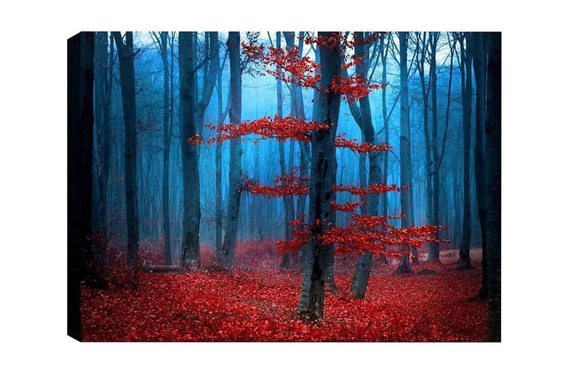 Lærredsbillede - Mystisk skov med røde træer i tåge, Rød / Blå / Grå