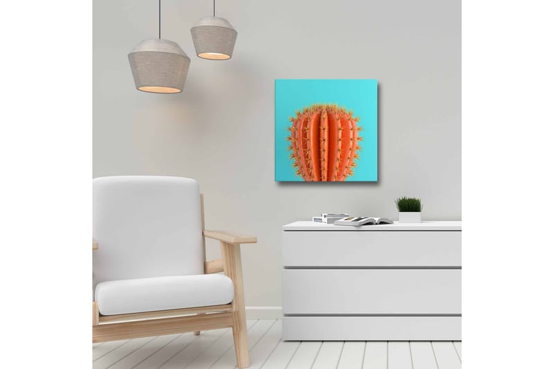 Lærredsbillede - Orange kaktus med torne mod en turkis baggrund - Orange / Turkis - Boligtilbehør - Billeder & kunst - Billeder på lærred