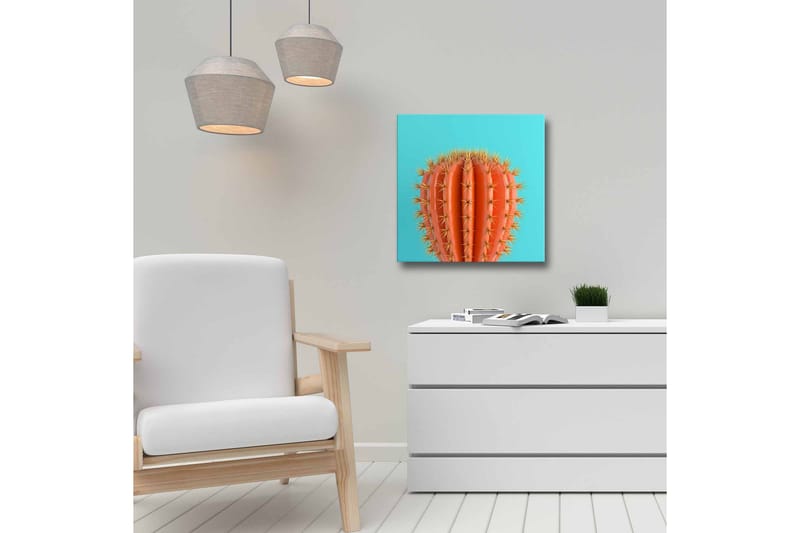 Lærredsbillede - Orange kaktus med torne mod en turkis baggrund - Orange / Turkis - Boligtilbehør - Billeder & kunst - Billeder på lærred