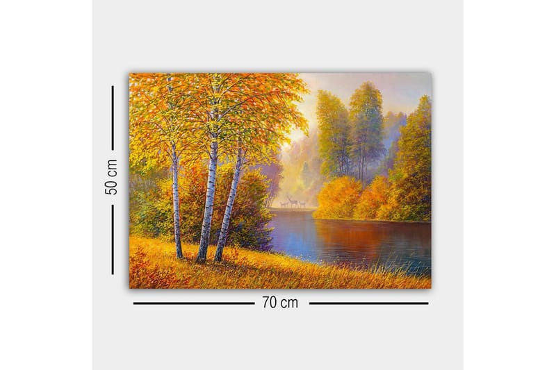 Lærredsbillede - Smukt efterårslandskab med birketræer ved en stille sø - Gyldenorange / Grøn / Blå - Boligtilbehør - Billeder & kunst - Billeder på lærred