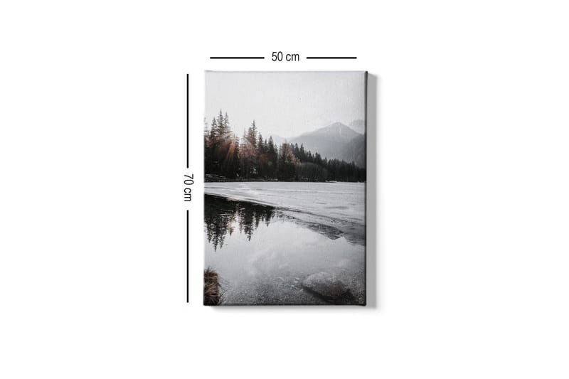 Lærredsbillede - Smukt vinterlandskab med frosne søer og snedækkede bjerge - Grå / Hvid / Mørkegrøn - Boligtilbehør - Billeder & kunst - Billeder på lærred