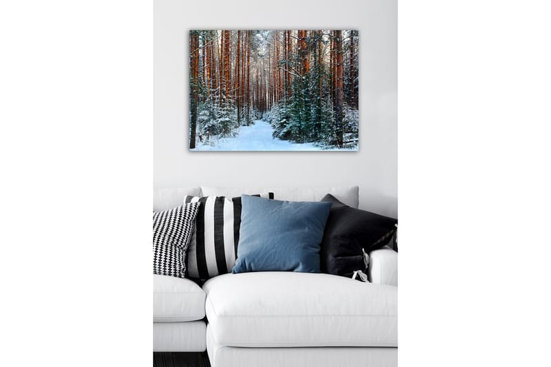 Lærredsbillede - Snedækket skov med høje, lige fyrretræer - Grøn / Brun / Hvid - Boligtilbehør - Billeder & kunst - Billeder på lærred