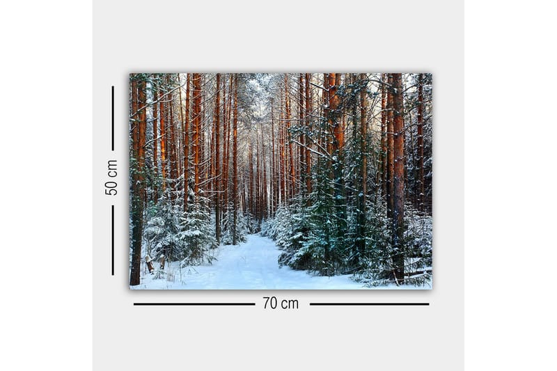 Lærredsbillede - Snedækket skov med høje, lige fyrretræer - Grøn / Brun / Hvid - Boligtilbehør - Billeder & kunst - Billeder på lærred