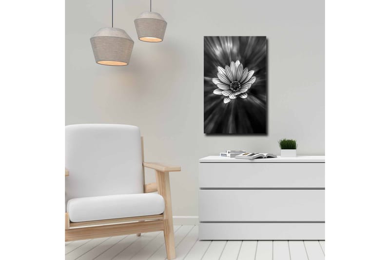 Lærredsbillede - Sort-hvid blomst med lysstråler, der skaber en dramatisk effekt - Sort / Hvid / Grå - Boligtilbehør - Billeder & kunst - Billeder på lærred
