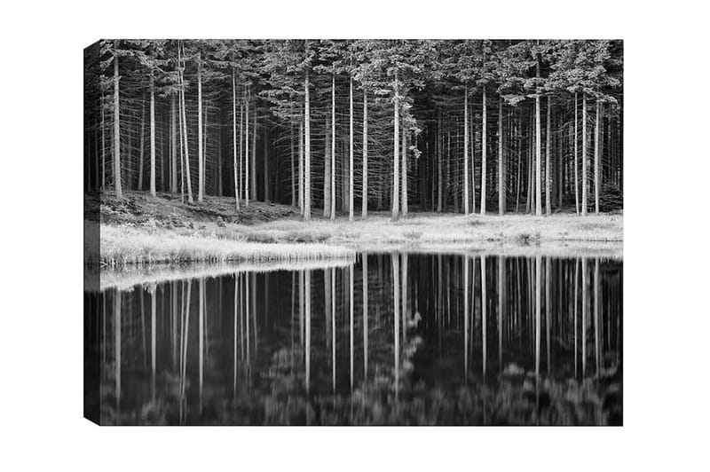 Lærredsbillede - Sort-hvid skovscene med spejling i vandet, Sort / Hvid / Grå