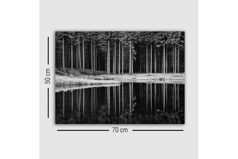 Lærredsbillede - Sort-hvid skovscene med spejling i vandet - Sort / Hvid / Grå - Boligtilbehør - Billeder & kunst - Billeder på lærred