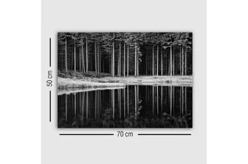Lærredsbillede - Sort-hvid skovscene med spejling i vandet - Sort / Hvid / Grå - Boligtilbehør - Billeder & kunst - Billeder på lærred